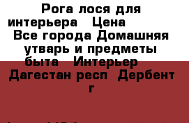 Рога лося для интерьера › Цена ­ 3 300 - Все города Домашняя утварь и предметы быта » Интерьер   . Дагестан респ.,Дербент г.